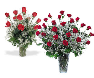 24 for 12 Rose Sale In Louisville, KY, In Kentucky, Schmitt's Florist
