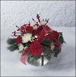 Winter Snowglobe In Louisville, KY, In Kentucky, Schmitt's Florist