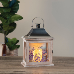 Their Light Lantern In Louisville, KY, In Kentucky, Schmitt's Florist