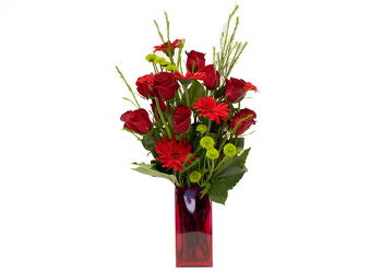 Lovely Red In Louisville, KY, In Kentucky, Schmitt's Florist
