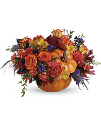 Teleflora's Pretty Pumpkin Bouquet In Louisville, KY, In Kentucky, Schmitt's Florist