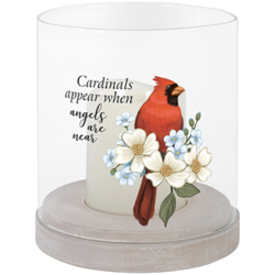 Cardinals Appear Glass Hurricane In Louisville, KY, In Kentucky, Schmitt's Florist