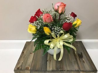 Dozen Assorted Color Roses In Ivy Bowl  In Louisville, KY, In Kentucky, Schmitt's Florist