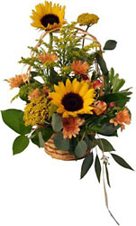 Bounty Basket In Louisville, KY, In Kentucky, Schmitt's Florist