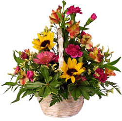 Medley of Autumn In Louisville, KY, In Kentucky, Schmitt's Florist