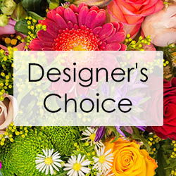 Designer's Choice Arrangement In Louisville, KY, In Kentucky, Schmitt's Florist