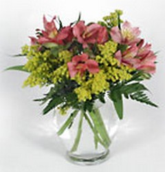 Simple Wishes In Louisville, KY, In Kentucky, Schmitt's Florist