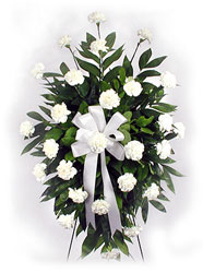 Peaceful Carnation Tribute In Louisville, KY, In Kentucky, Schmitt's Florist