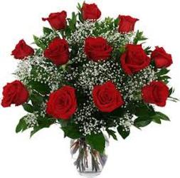 Roses Arranged In Louisville, KY, In Kentucky, Schmitt's Florist