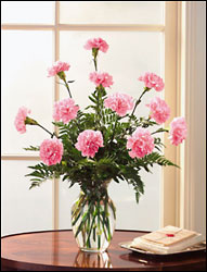 The Carnation Bouquet In Louisville, KY, In Kentucky, Schmitt's Florist