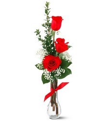3 Red Roses In Louisville, KY, In Kentucky, Schmitt's Florist
