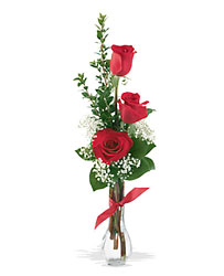 3 Red Roses In Louisville, KY, In Kentucky, Schmitt's Florist