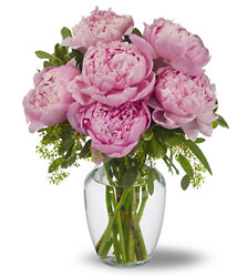 Peonies in Pink In Louisville, KY, In Kentucky, Schmitt's Florist