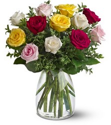 A Dozen Mixed Roses In Louisville, KY, In Kentucky, Schmitt's Florist