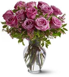 A Dozen Lavender Roses In Louisville, KY, In Kentucky, Schmitt's Florist