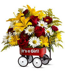 Teleflora's Baby's First Wagon - Girl  In Louisville, KY, In Kentucky, Schmitt's Florist