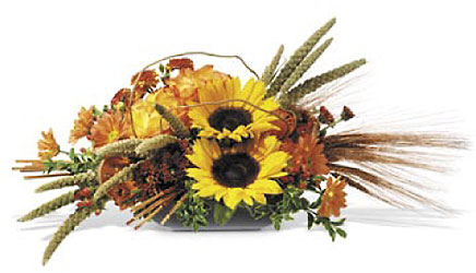 Harvest Time In Louisville, KY, In Kentucky, Schmitt's Florist