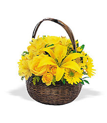Get Better Basket In Louisville, KY, In Kentucky, Schmitt's Florist