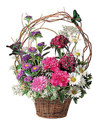 Touch of Butterflies In Louisville, KY, In Kentucky, Schmitt's Florist