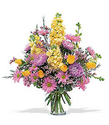 Yellow & Lavender Delight In Louisville, KY, In Kentucky, Schmitt's Florist