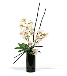Artful Orchids In Louisville, KY, In Kentucky, Schmitt's Florist