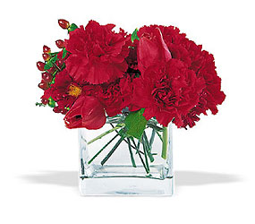 Cube with Red Blooms In Louisville, KY, In Kentucky, Schmitt's Florist