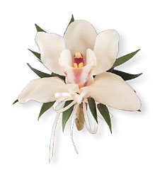 Cymbidium Orchid Corsage In Louisville, KY, In Kentucky, Schmitt's Florist