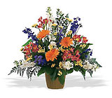 Bright Messages In Louisville, KY, In Kentucky, Schmitt's Florist