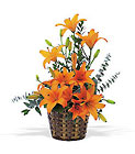 Asiatic Lilies In Louisville, KY, In Kentucky, Schmitt's Florist