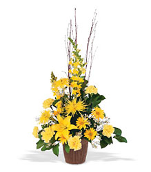Brighter Blessings Arrangement In Louisville, KY, In Kentucky, Schmitt's Florist
