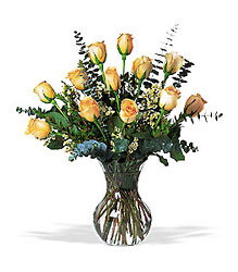 A Dozen Pale Peach Roses In Louisville, KY, In Kentucky, Schmitt's Florist