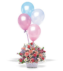 Birthday Balloon Basket In Louisville, KY, In Kentucky, Schmitt's Florist