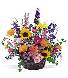 Summertime Sensation Basket In Louisville, KY, In Kentucky, Schmitt's Florist