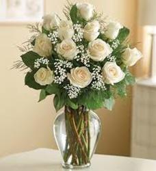 Pure White In Louisville, KY, In Kentucky, Schmitt's Florist